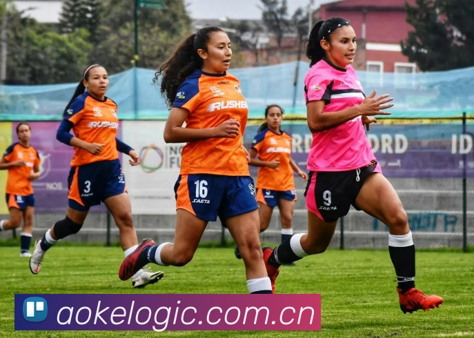 多媒体互动体验